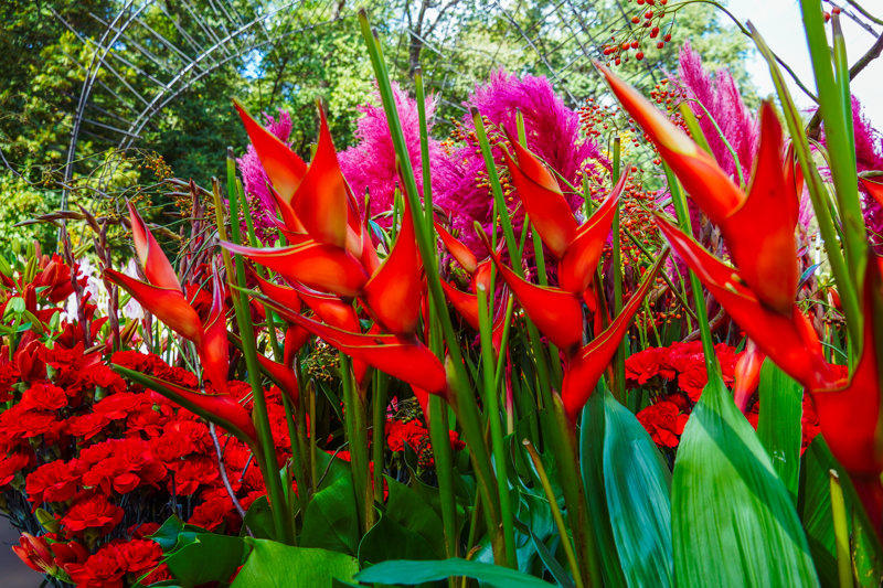 Опубликована программа воронежского фестиваля «Город-сад»