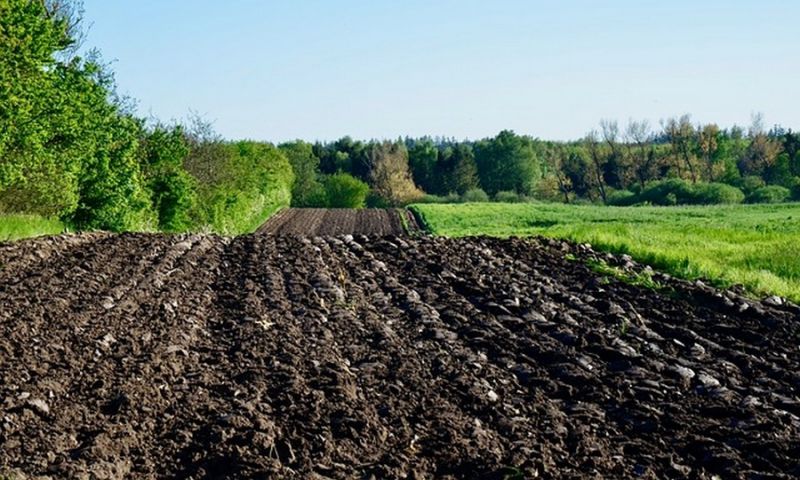 В 22 районах Воронежской области создадут комиссии по ЧС в агропромышленном комплексе