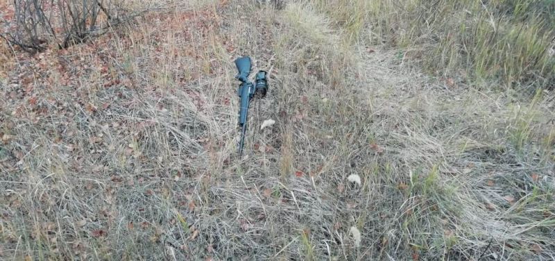 Власти не нашли подтверждения вольерной охоте в Воронежской области