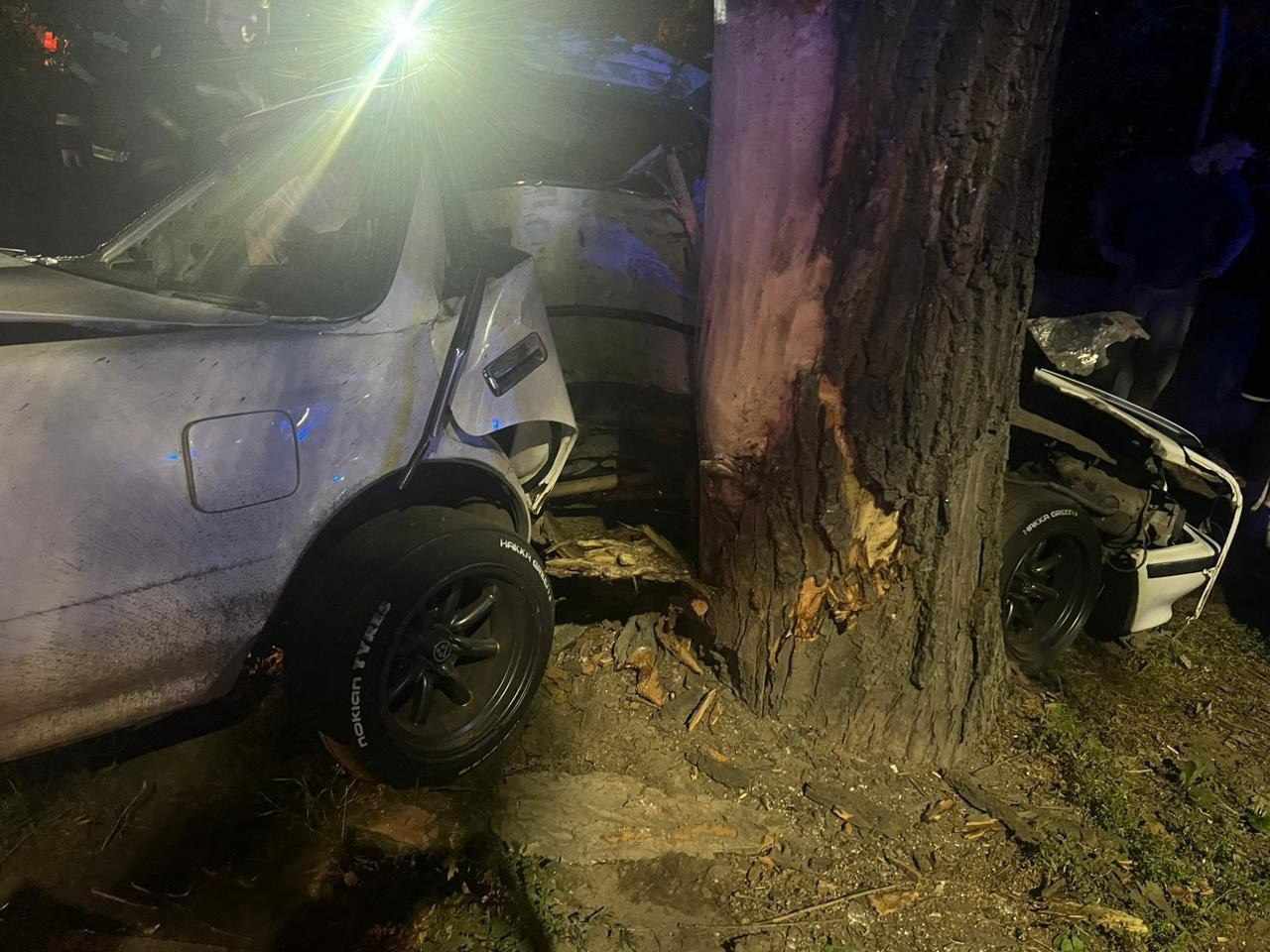 Погиб 20-летний водитель «Тойоты» врезавшийся в дерево в Воронеже