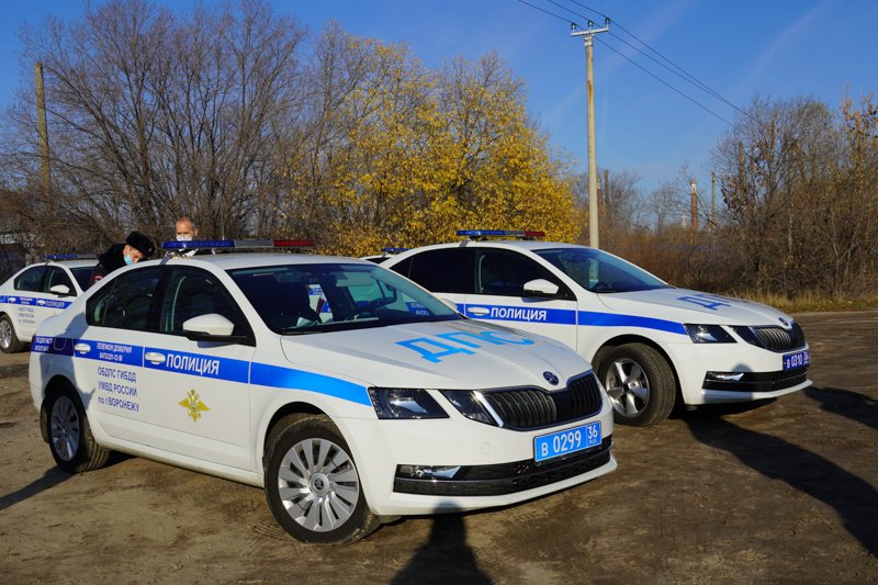 В Воронеже возбудили дело против стрелявшего по полицейским фейерверками водителя