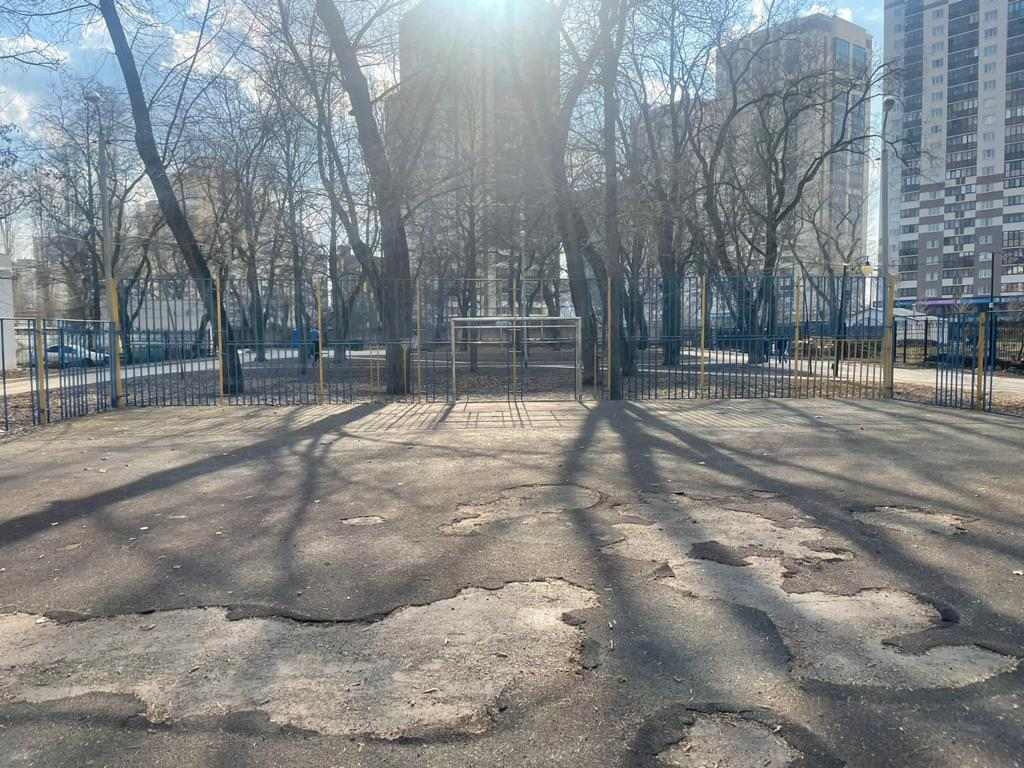 В парке имени Дурова в Воронеже отремонтируют спортивную площадку