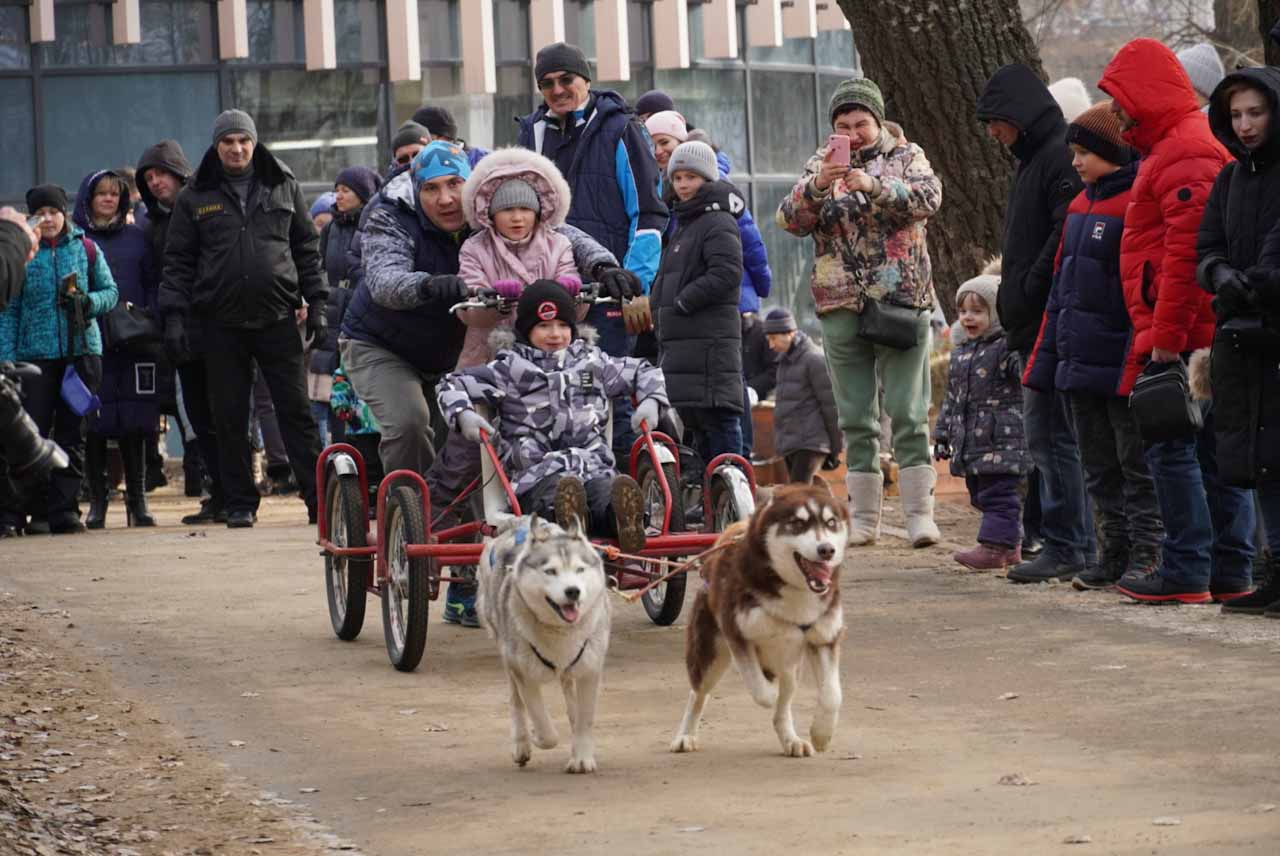 День зимних видов спорта праздновали в Воронеже зарядкой на свежем воздухе и ездой в упряжках 