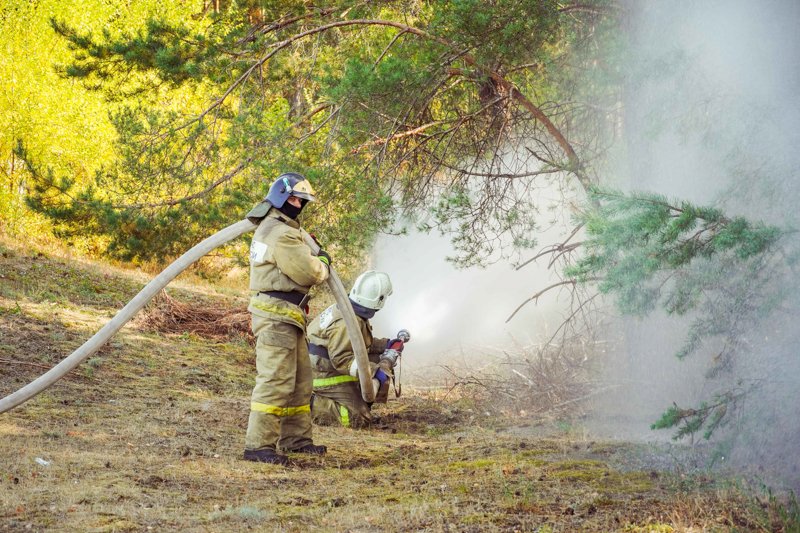 На окраине Воронежа пожар в Пригородном лесничестве охватил 0,28 га