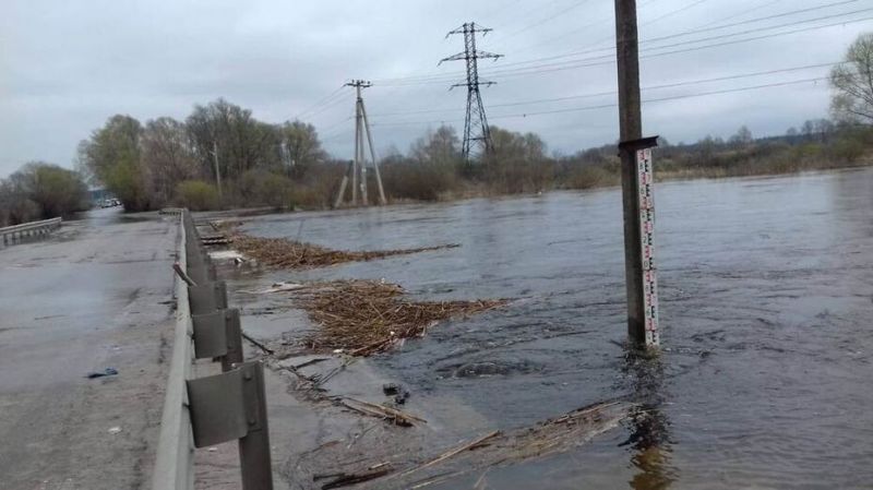 На реке Воронеж из-за подтопления закрыли проезд по Ступинскому мосту 