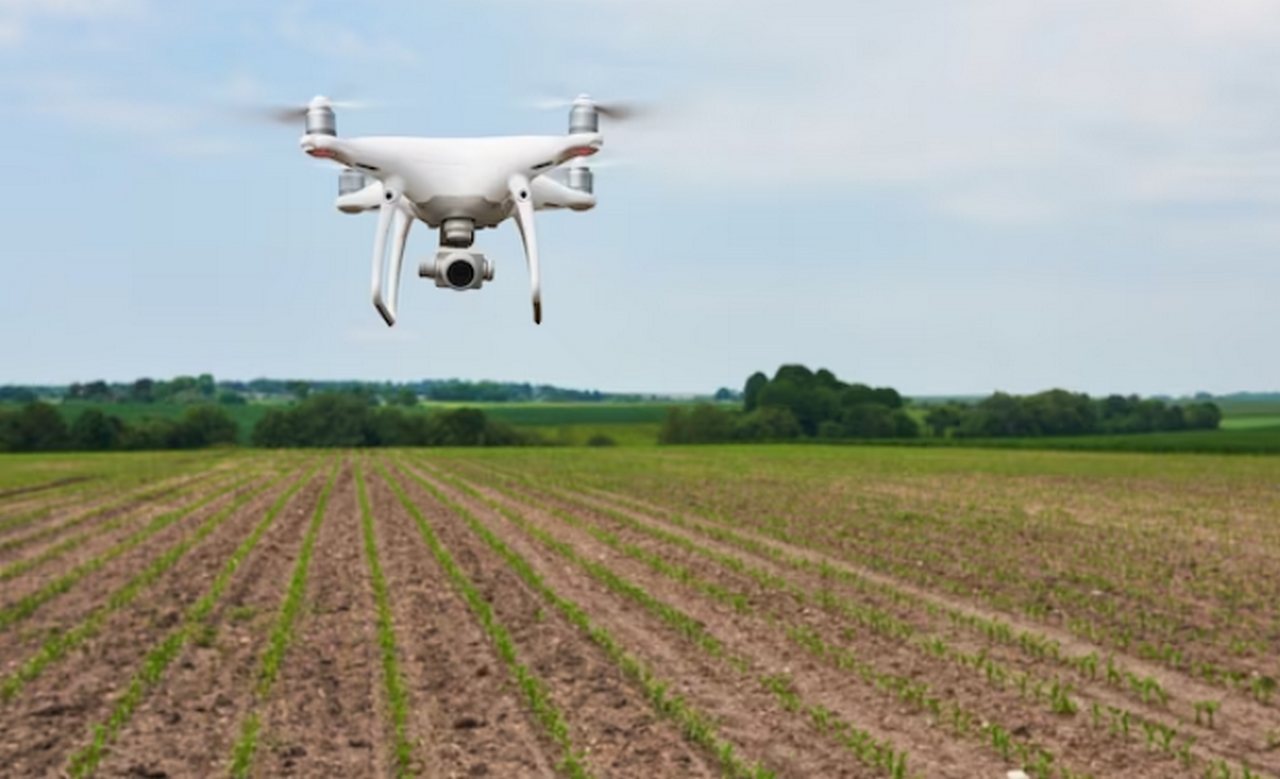 Полёты аграрных дронов готовы разрешить в Воронежской области