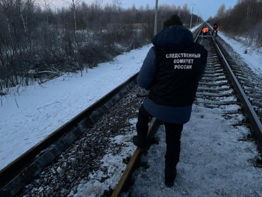 Поезд, ехавший из Москвы в Воронеж, сбил насмерть 53-летнего мужчину