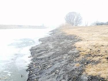 Речку Икорец в Воронежской области почистили с грубыми нарушениями