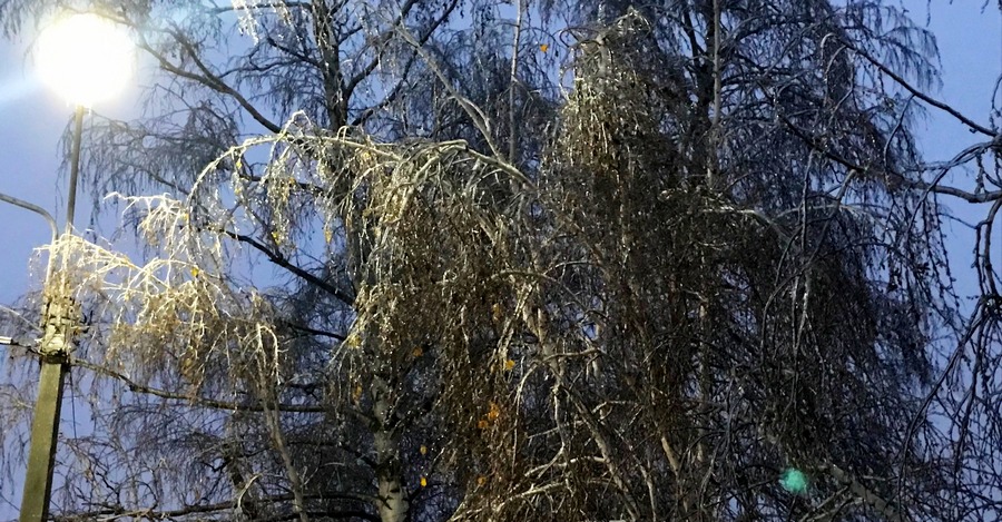 Ледяные дожди ожидаются в Воронежской области