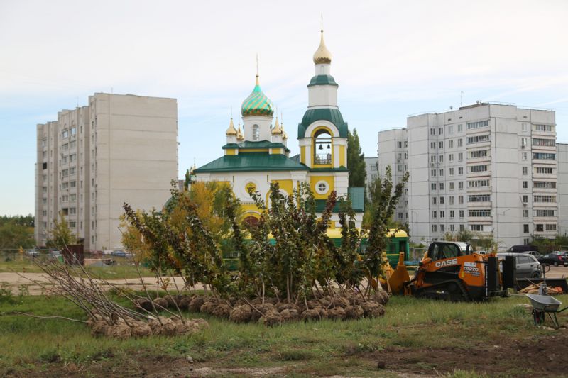 Масштабная реконструкция улицы Острогожской в Воронеже завершается высадкой 473 деревьев