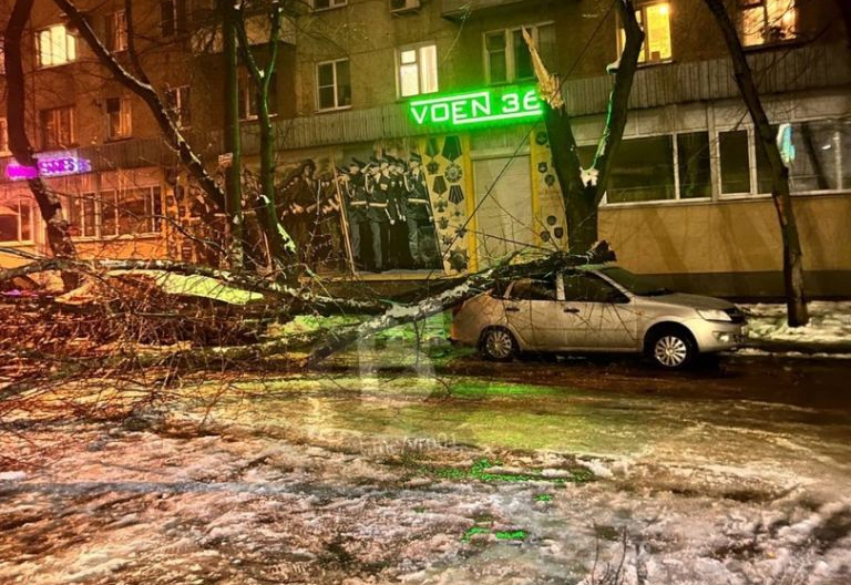 19 деревьев упало в Воронеже в минувшие выходные из-за непогоды