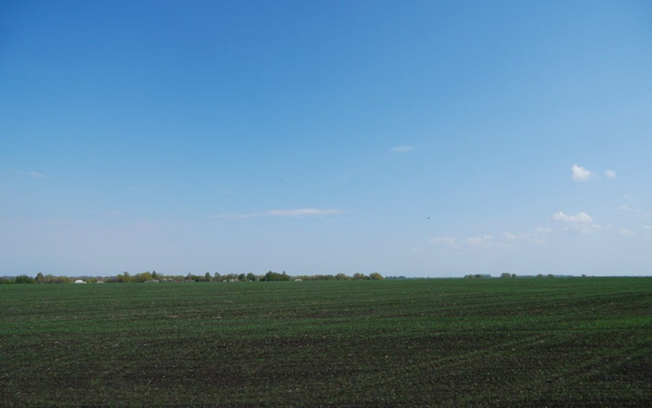 Гибель урожая в Воронежской области из-за майских заморозков признали ЧС федерального уровня