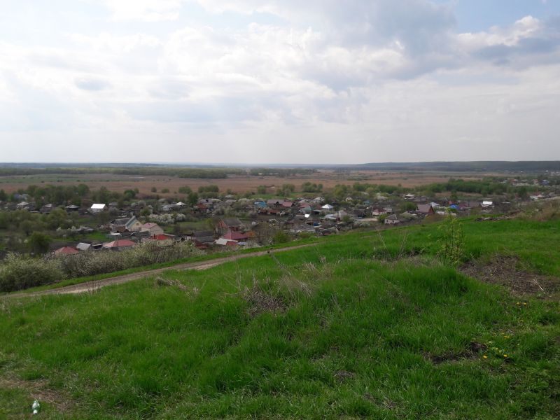 Жительница Воронежа продала земельный участок по фиктивным документам за 2,5 млн рублей