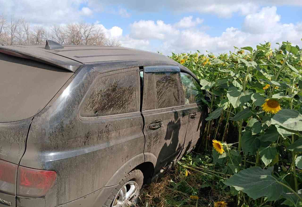 В воронежском поле подсолнухов погиб водитель SsangYong