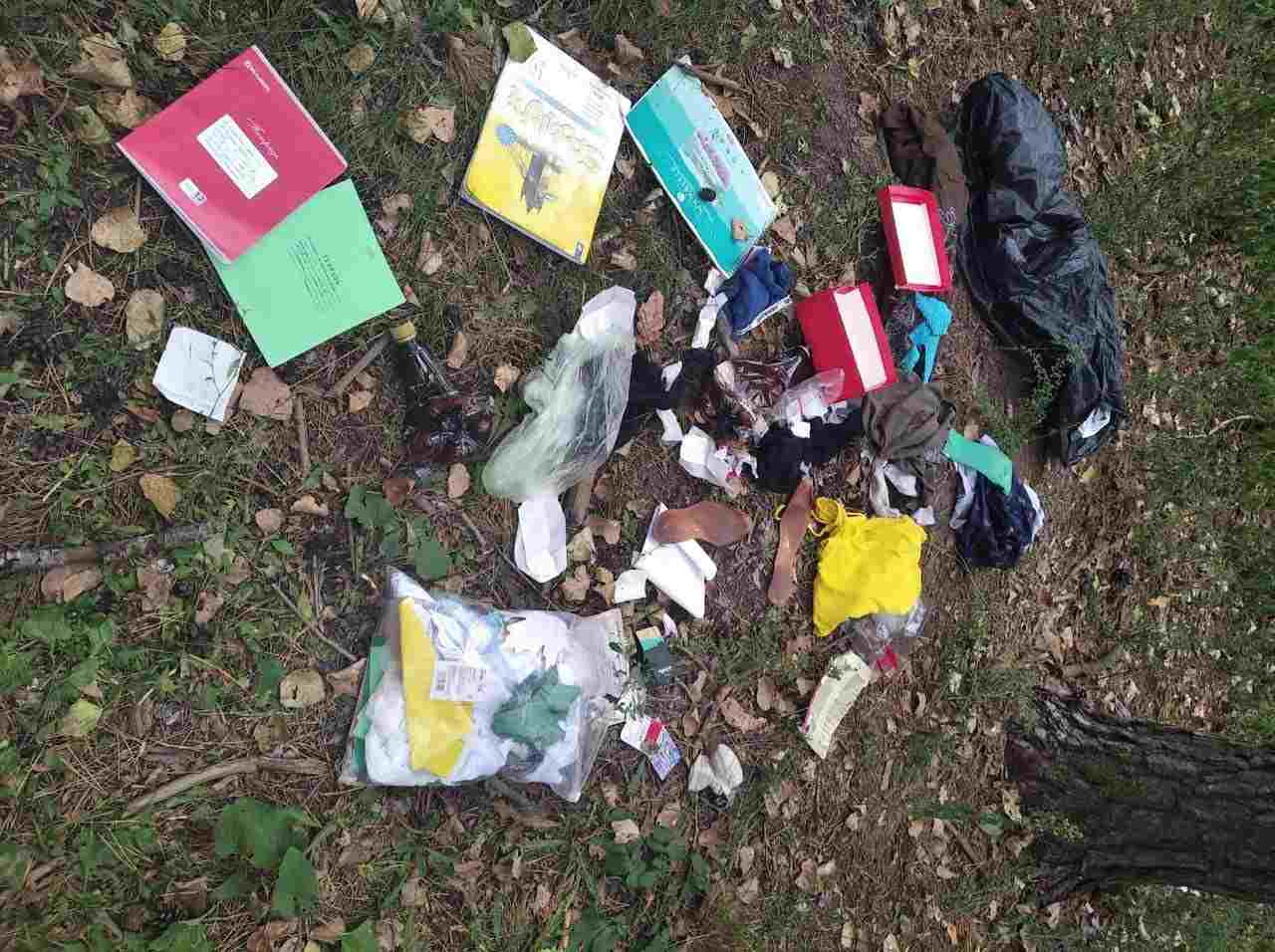Насорившим в парке «Танаис» в Воронеже «потерянный» мусор готовы принести домой