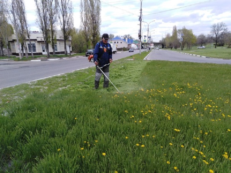 В Ленинском районе проводят уходные  работы на газонах