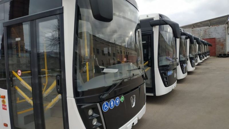 До конца года в Воронежскую область поступят 79 новеньких автобусов