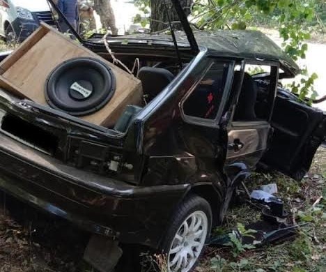 В Воронежской области при столкновении авто с деревом погиб 39-летний водитель