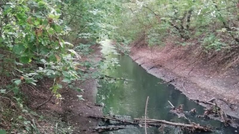 Специалисты подтвердили отравление реки Россошь в Воронежской области