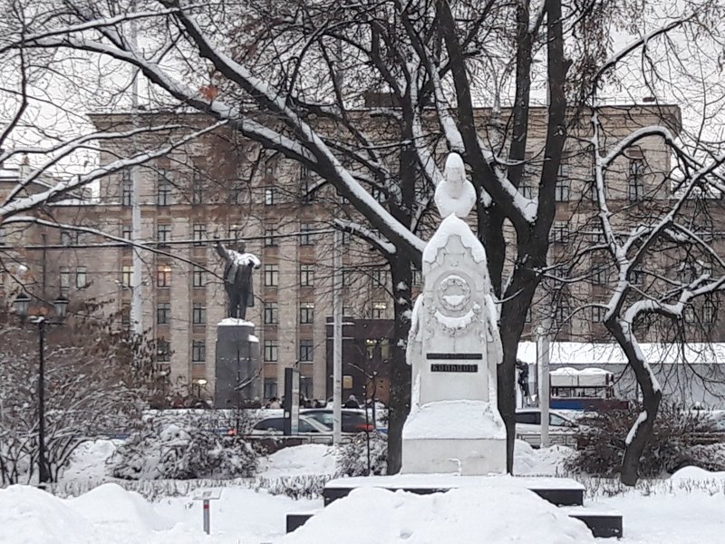 Похолодание до 19 градусов мороза ожидается в Воронежской области