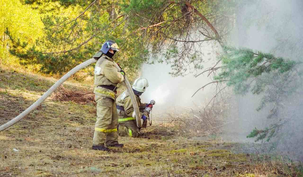 В 9 районах Воронежской области установлен V класс пожарной опасности