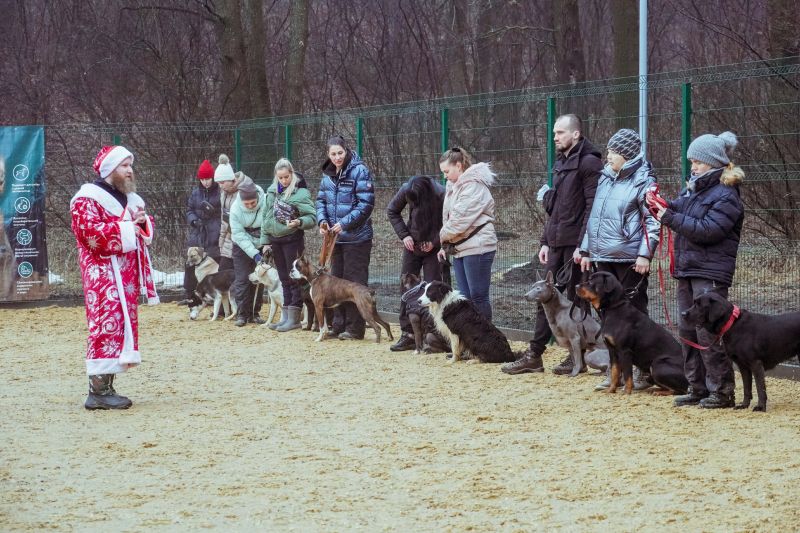 В Центральном парке Воронежа открылась площадка для выгула собак