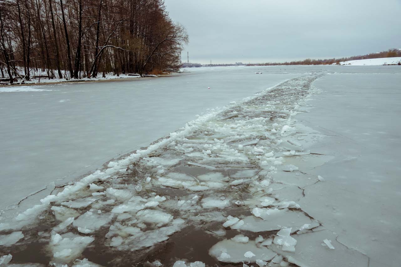 Насколько сильно изменилась погода в Воронеже за последние 70 лет, выяснили аналитики 