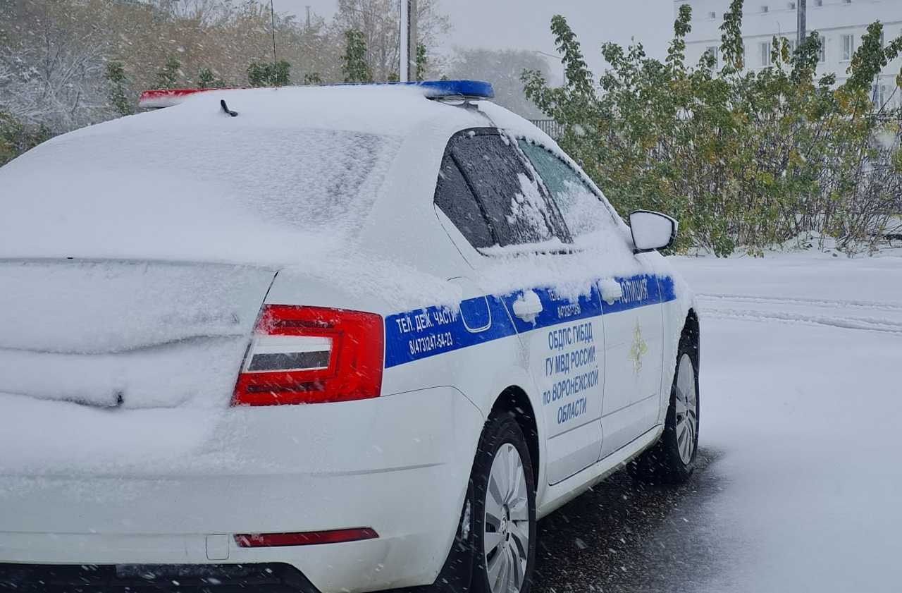 Скрылся водитель ВАЗа, сбившего пешехода на трассе под Воронежем | Горком36  новости Воронеж