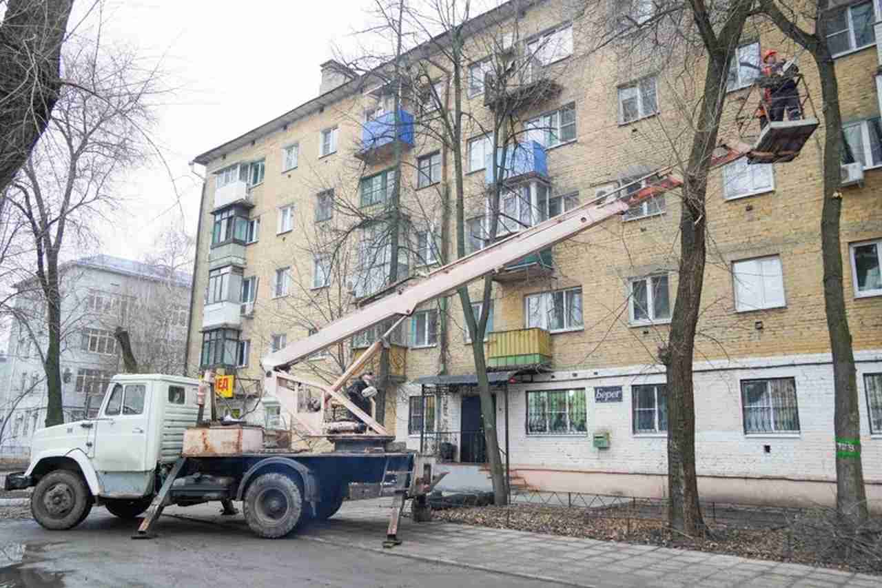 В Воронеже перекроют участки 2 улиц из-за обрезки деревьев