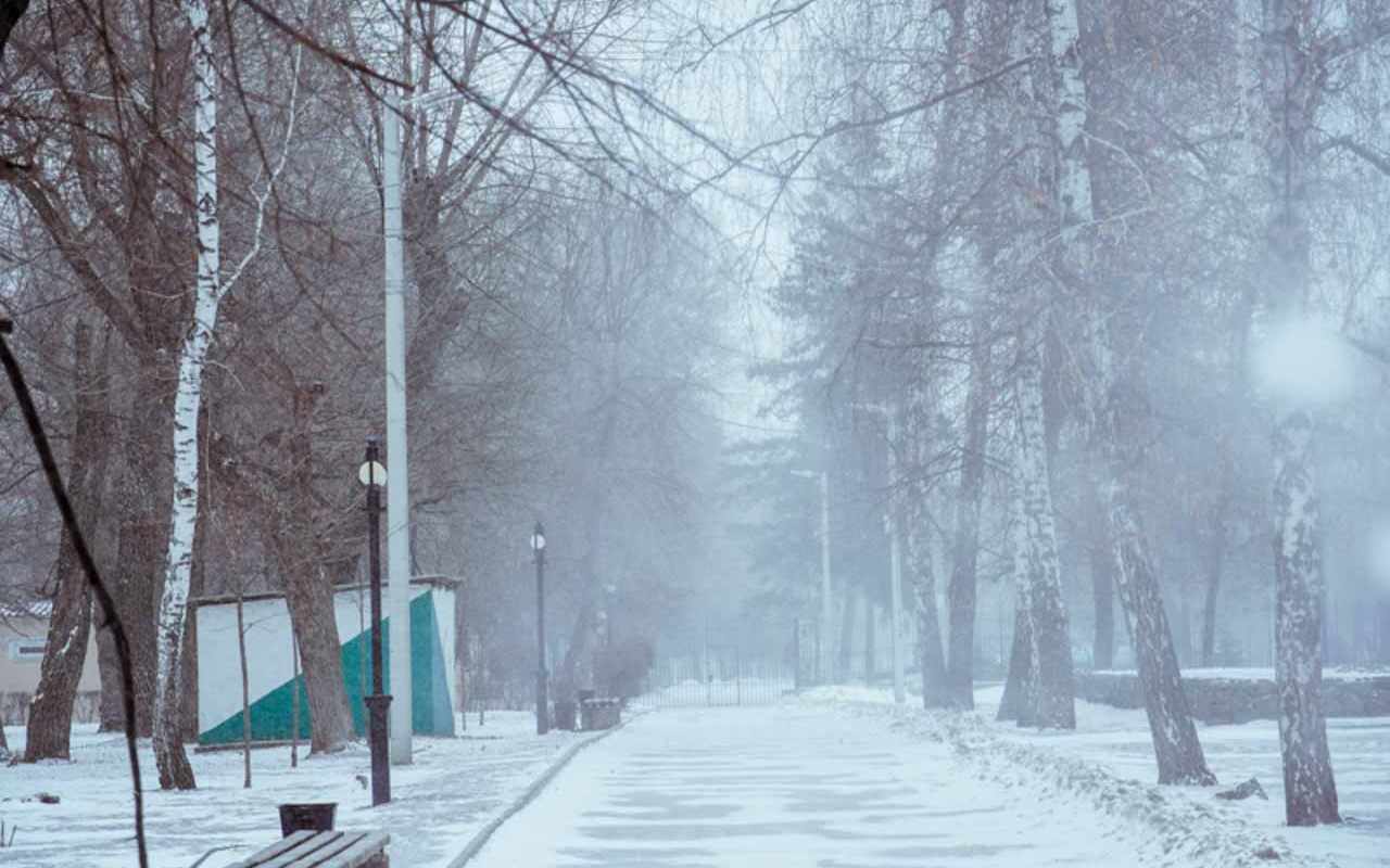 Морозы до -12 градусов и снег ожидаются на предстоящей неделе в Воронежской области