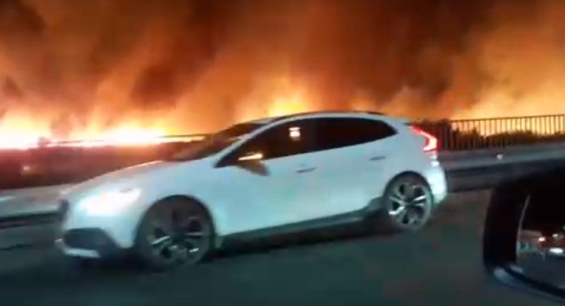 Крупные пожары в Воронежской области попали на видео