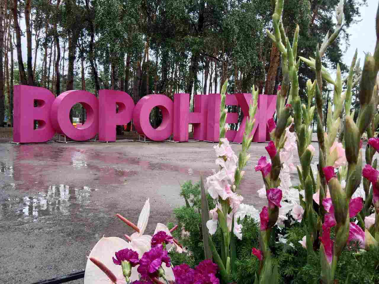 Старт приёма заявок для участия в фестивале «Город-Сад» объявили в Воронеже