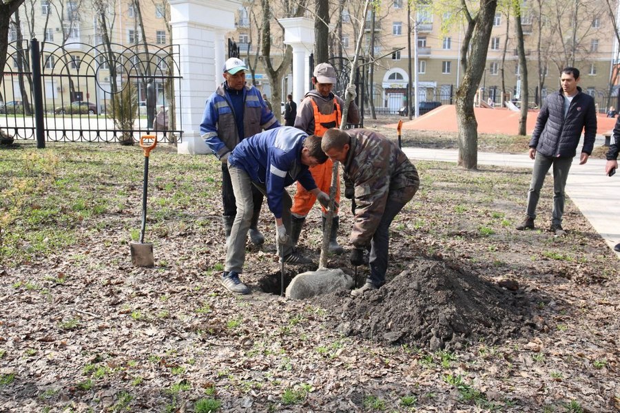 В Воронеже приступили к озеленению парка «Орленок»