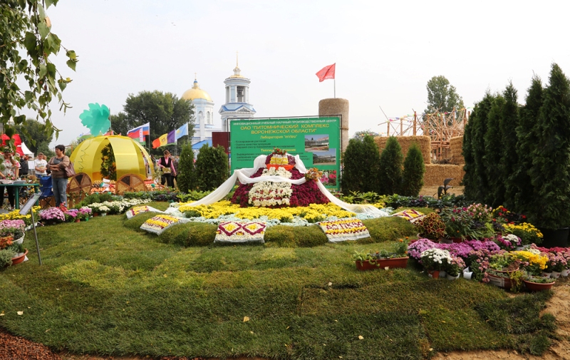 В Воронеже определили подрядчика для фестиваля «Город-сад»