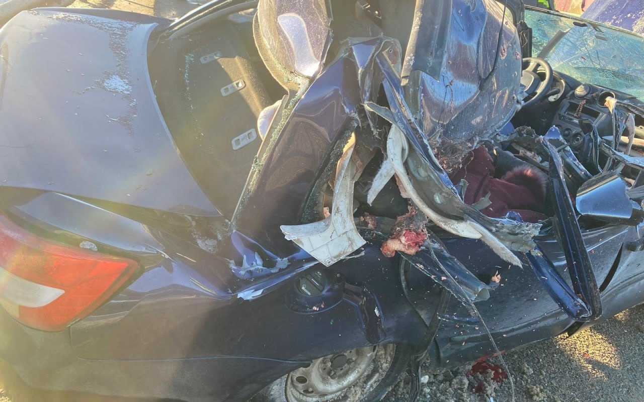 Два пассажира «Лады» погибли в ДТП с фурой на воронежской трассе
