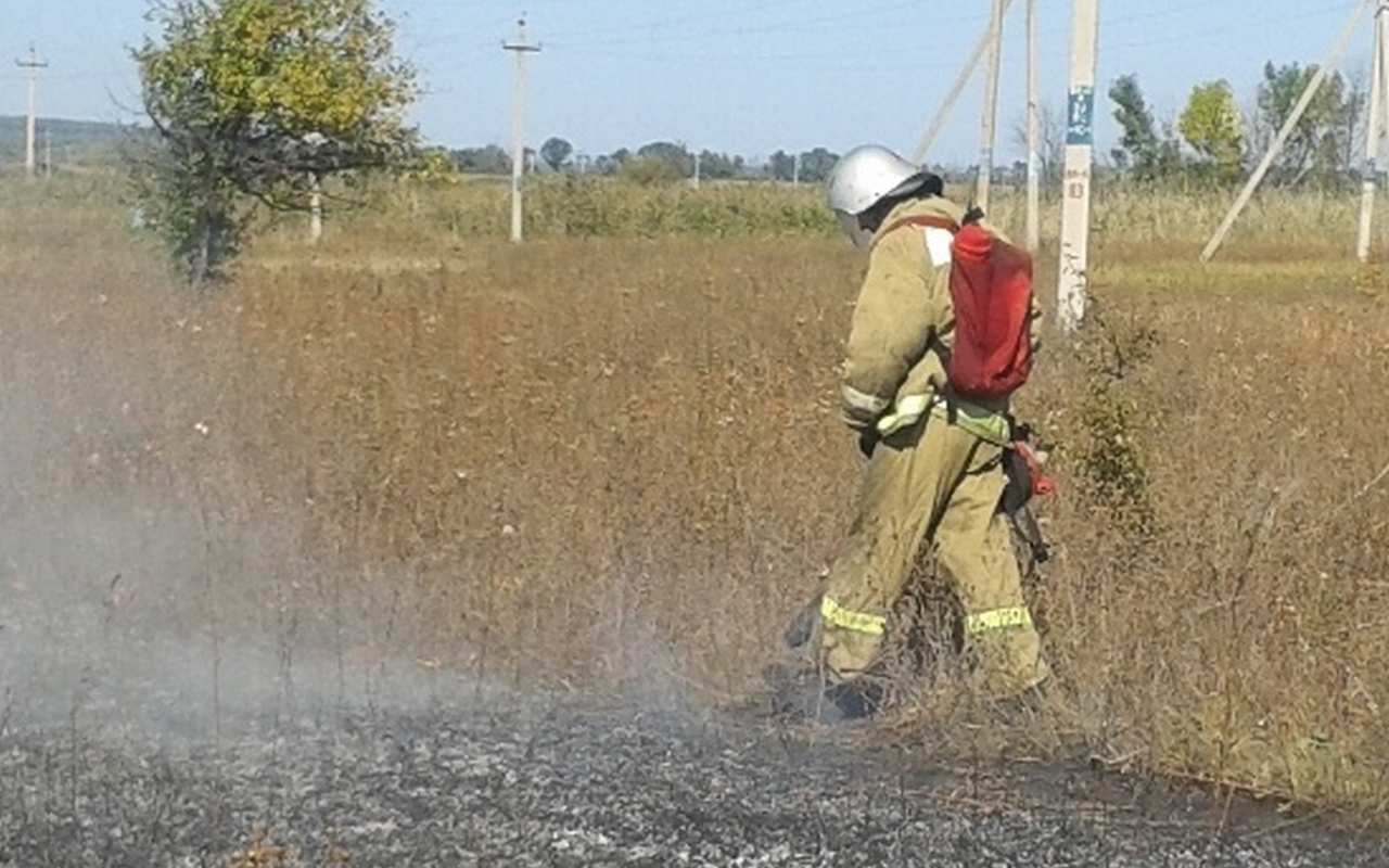 Пшеница сгорела в поле на 24 га в Воронежской области