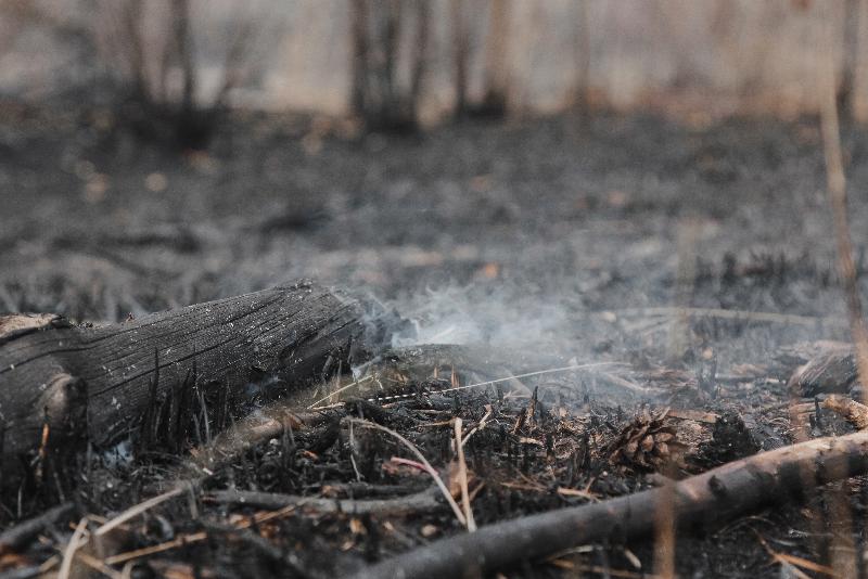 Загоревшуюся сухую траву на окраине Воронежа у больницы № 8 потушили