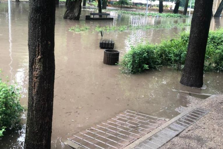 Разобраться с затоплениями Центрального парка во время ливней поручил мэр Воронежа