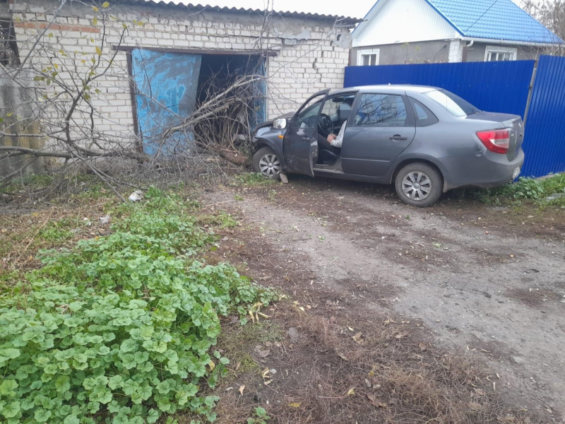 Забор, дерево и гараж протаранил 50-летний автомобилист под Воронежем