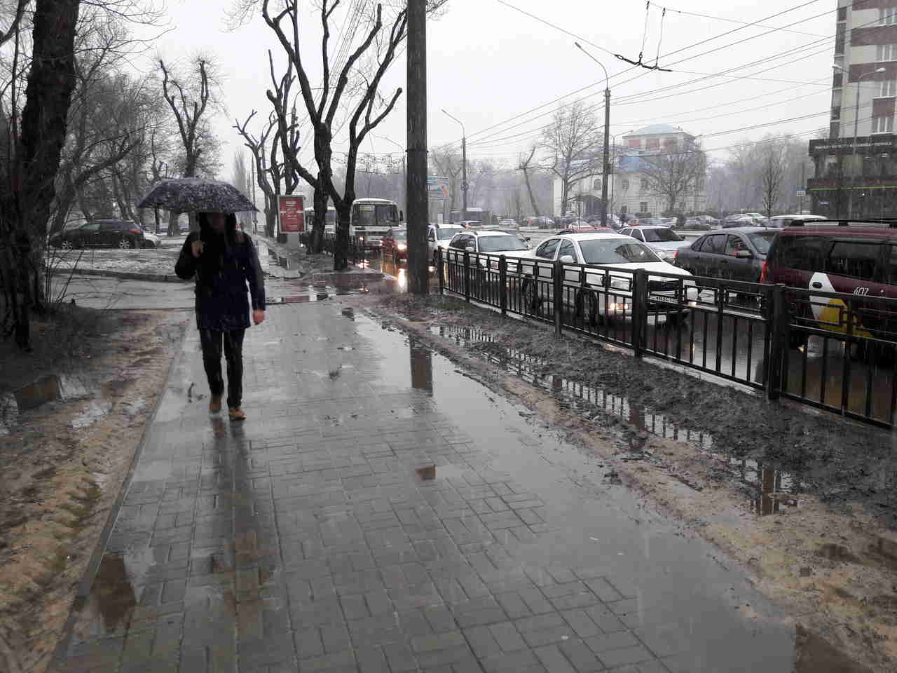 Потепление до +4 градусов в Воронеже ожидается к выходным