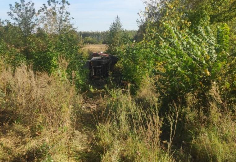 В Воронежской области после столкновения иномарки с деревом погиб 68-летний автомобилист