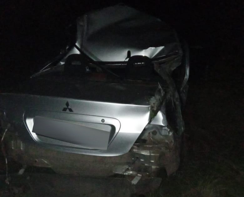 В опрокинувшемся в Воронежской области автомобиле пострадали 19- и 21-летний парни