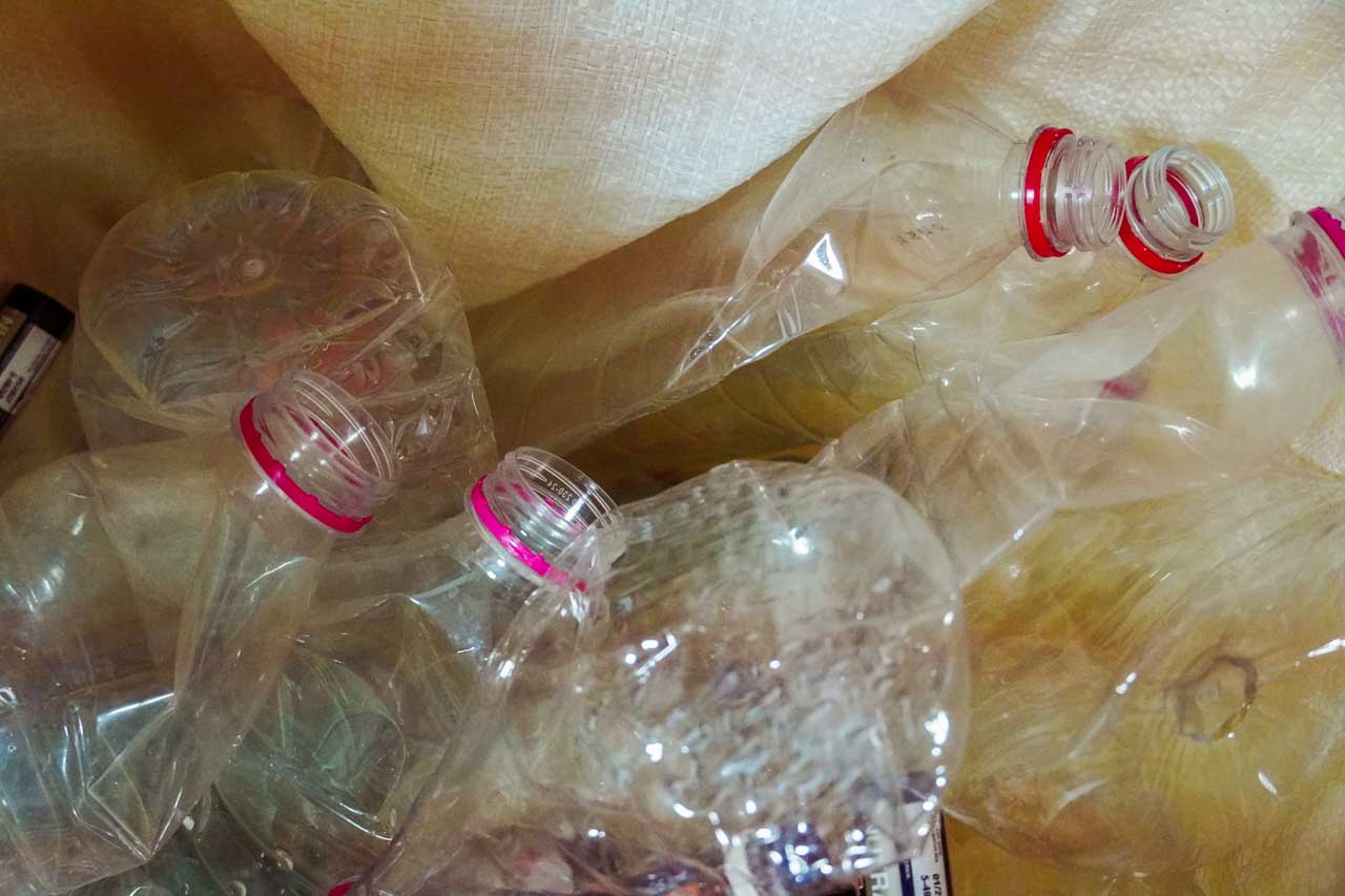 DSC09984.jpg DSC09984.jpg