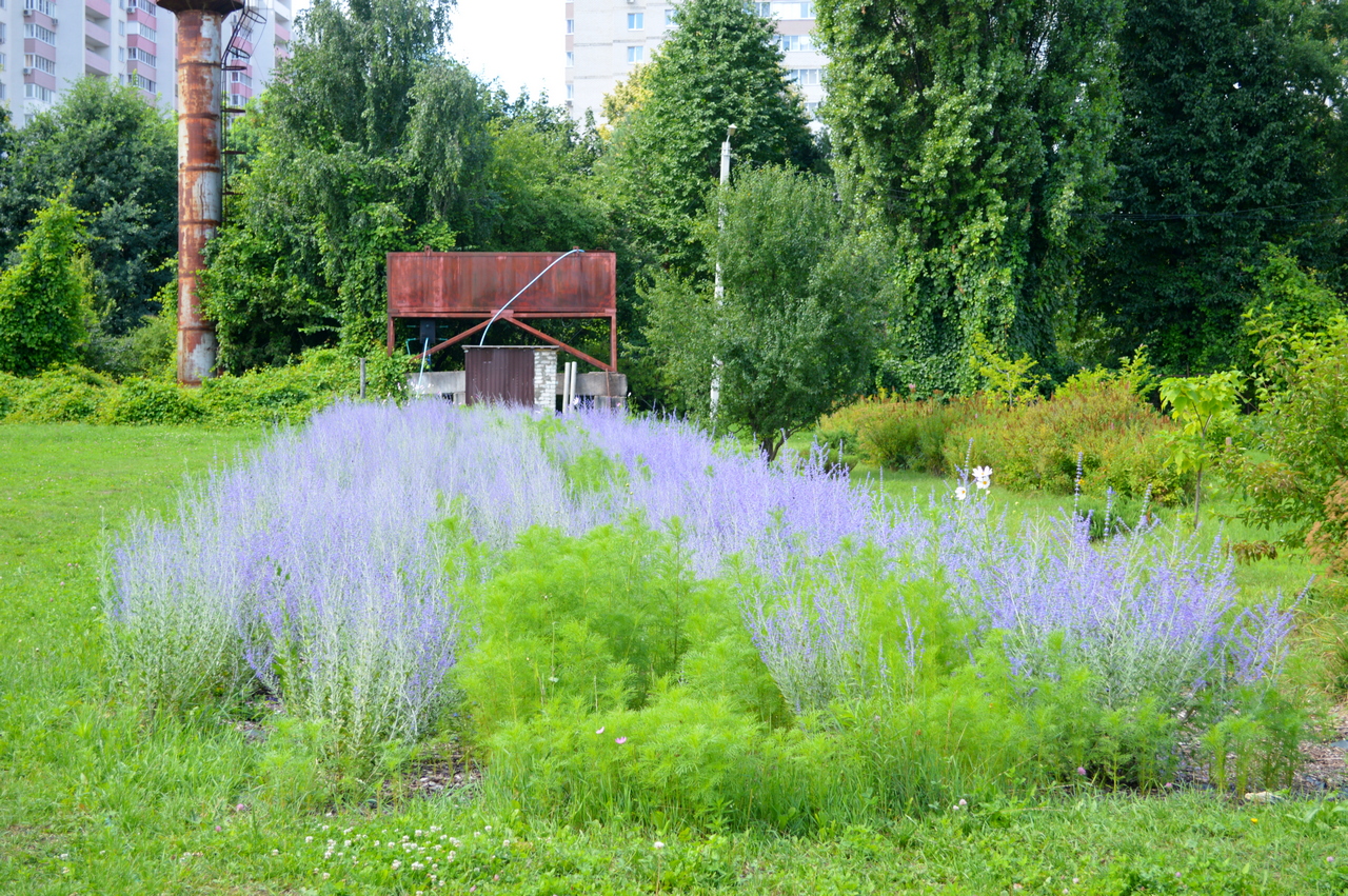 DSC_0391.JPG