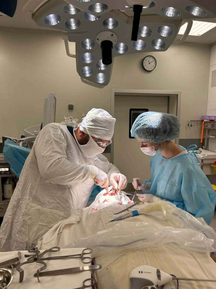 IMG_20251028_203651_626-1.jpg IMG_20251028_203651_626-1.jpg