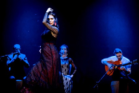 Фламенко.jpg