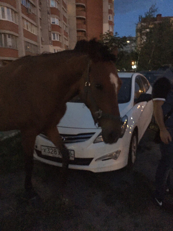 Снять Зрелую Воронеж, порно видео бесплатно на ГигПорно