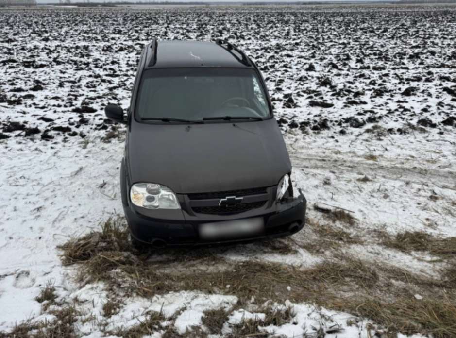 jpeg-optimizer_ав1 (2).jpg