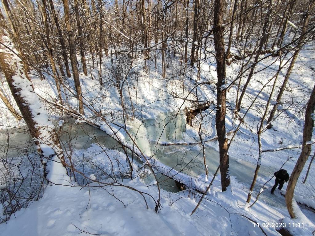 Воронежцам показали удивительную красоту замерзшего водопада в лесу  Калачеевского района | Горком36 новости Воронеж