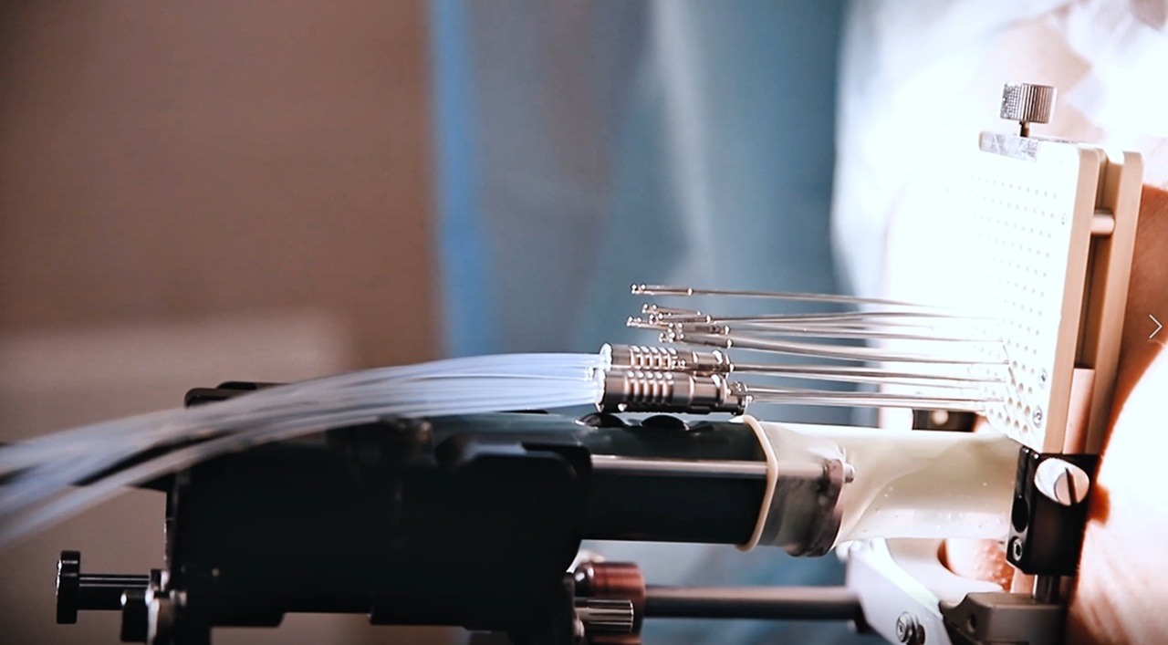 Рисунок брахи.jpg